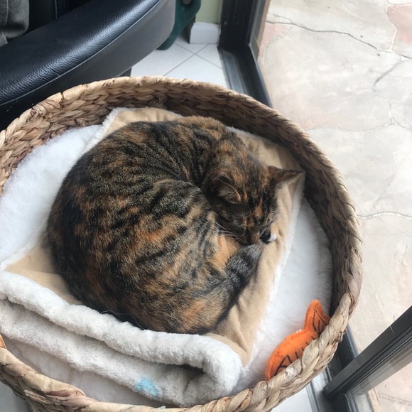 Meet your Posher, Christine - Picture 1 of 1